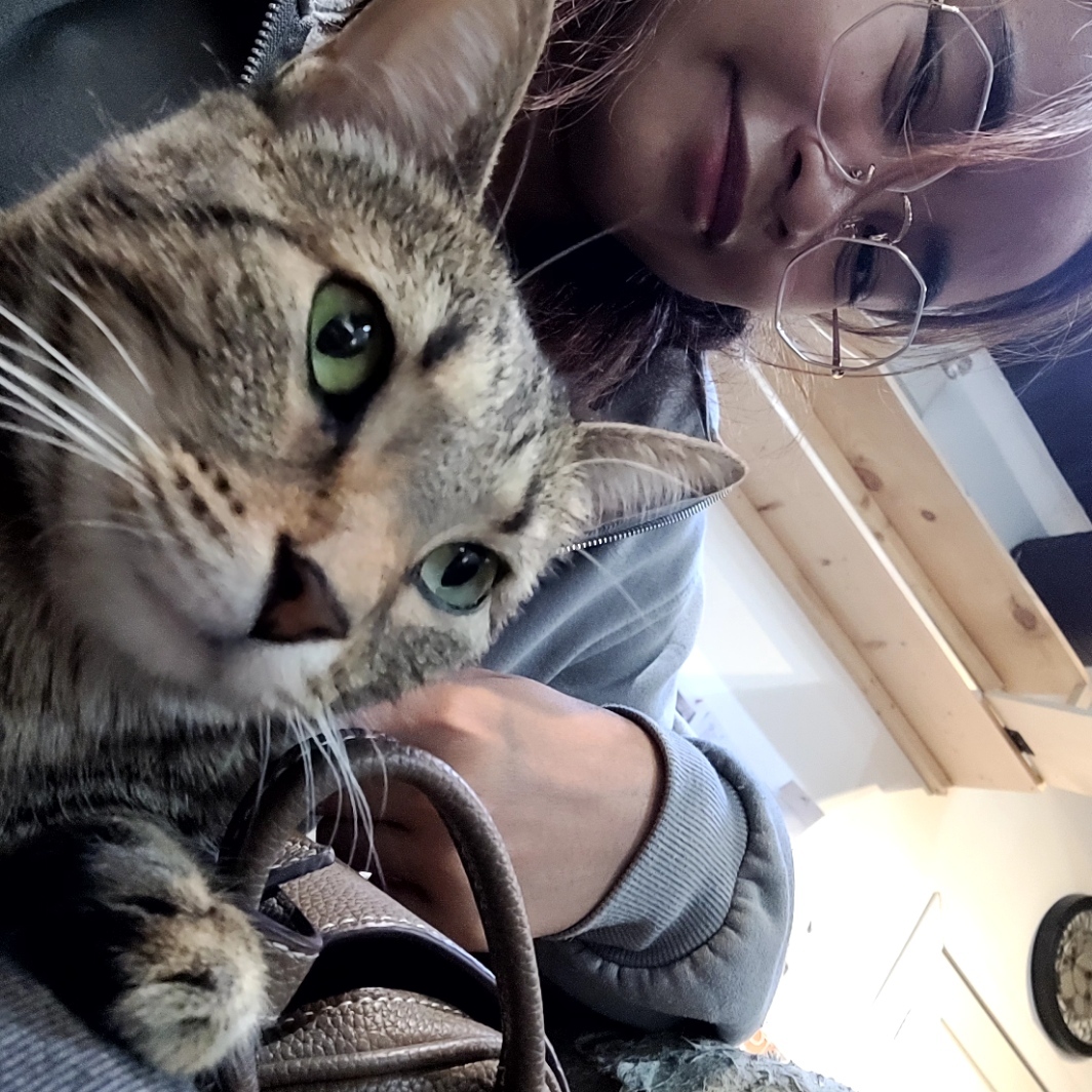 cat